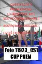 11923_CS1-CUP-PREM