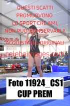 11924_CS1-CUP-PREM