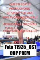 11925_CS1-CUP-PREM