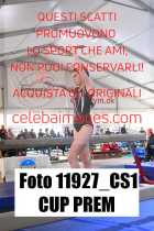 11927_CS1-CUP-PREM