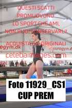 11929_CS1-CUP-PREM