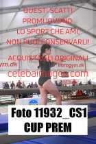 11932_CS1-CUP-PREM