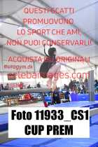 11933_CS1-CUP-PREM