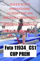 11934_CS1-CUP-PREM