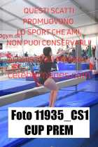 11935_CS1-CUP-PREM