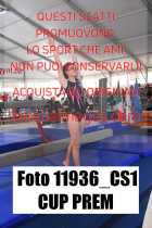 11936_CS1-CUP-PREM