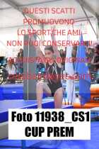 11938_CS1-CUP-PREM