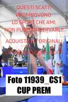 11939_CS1-CUP-PREM