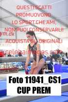 11941_CS1-CUP-PREM