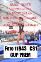 11943_CS1-CUP-PREM