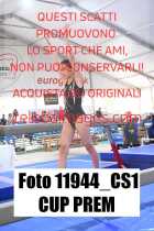 11944_CS1-CUP-PREM