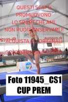 11945_CS1-CUP-PREM