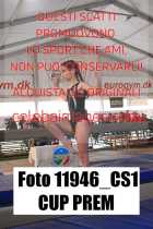 11946_CS1-CUP-PREM