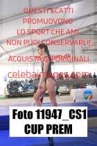 11947_CS1-CUP-PREM