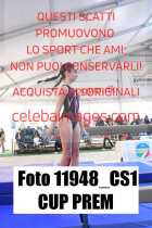 11948_CS1-CUP-PREM