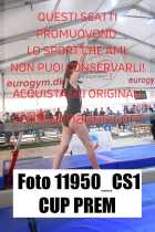 11950_CS1-CUP-PREM