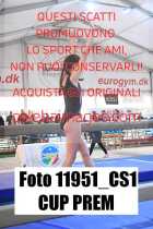 11951_CS1-CUP-PREM