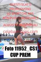 11952_CS1-CUP-PREM