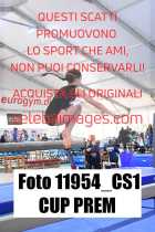11954_CS1-CUP-PREM