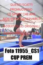 11955_CS1-CUP-PREM