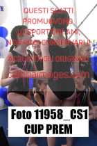 11958_CS1-CUP-PREM