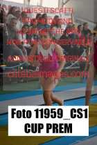 11959_CS1-CUP-PREM