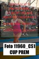 11960_CS1-CUP-PREM
