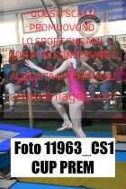 11963_CS1-CUP-PREM