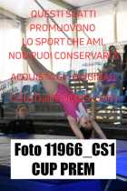 11966_CS1-CUP-PREM