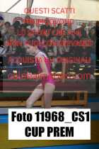 11968_CS1-CUP-PREM
