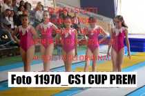 11970_CS1-CUP-PREM
