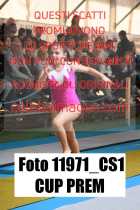 11971_CS1-CUP-PREM