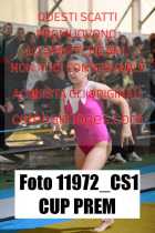 11972_CS1-CUP-PREM