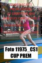 11975_CS1-CUP-PREM