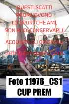 11976_CS1-CUP-PREM