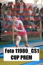 11980_CS1-CUP-PREM