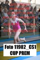 11982_CS1-CUP-PREM