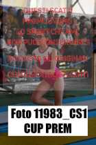 11983_CS1-CUP-PREM