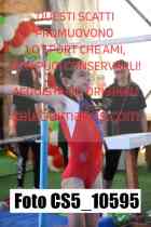 CS5_10595