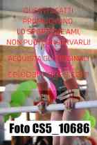 CS5_10686