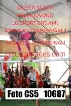 CS5_10687