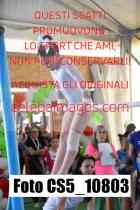CS5_10803