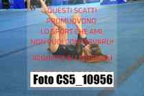 CS5_10956