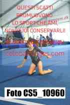 CS5_10960