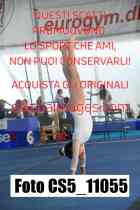 CS5_11055