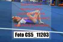 CS5_11203