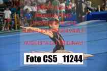 CS5_11244