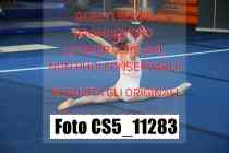 CS5_11283