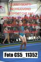 CS5_11352