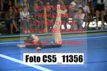 CS5_11356